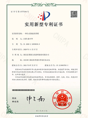 一種臺式保溫培養(yǎng)箱實用新型專利證書